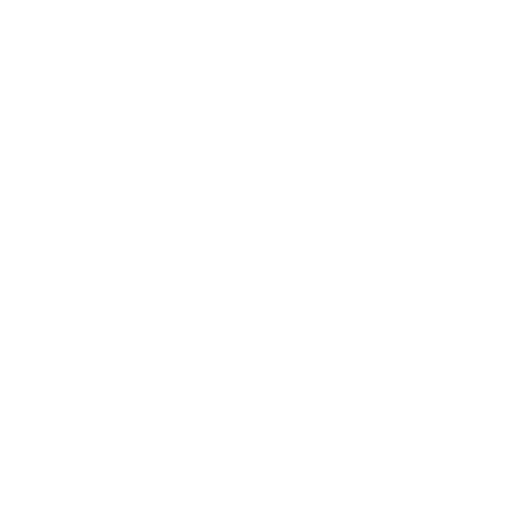 Broad Spectrum Insurance Services, Inc